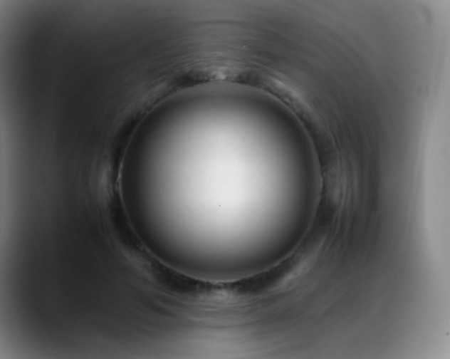 X0000089450594200706151433