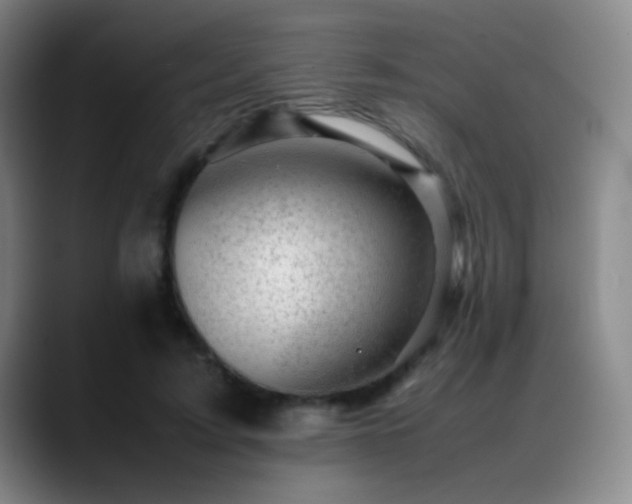 X0000089450595200706151433