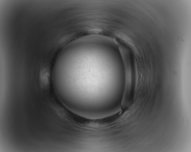 X0000089450596200706151433