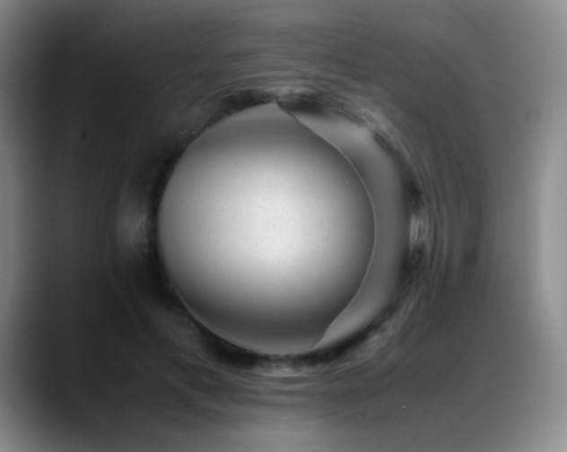 X0000089450597200706151433