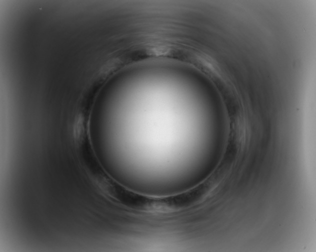 X0000089450598200706151433