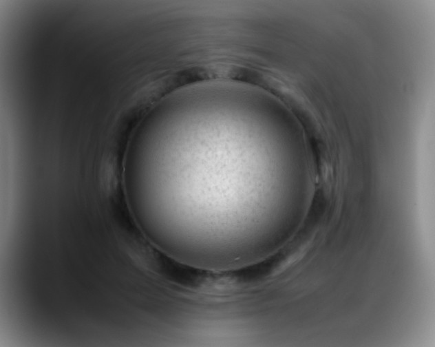 X0000089450599200706151433