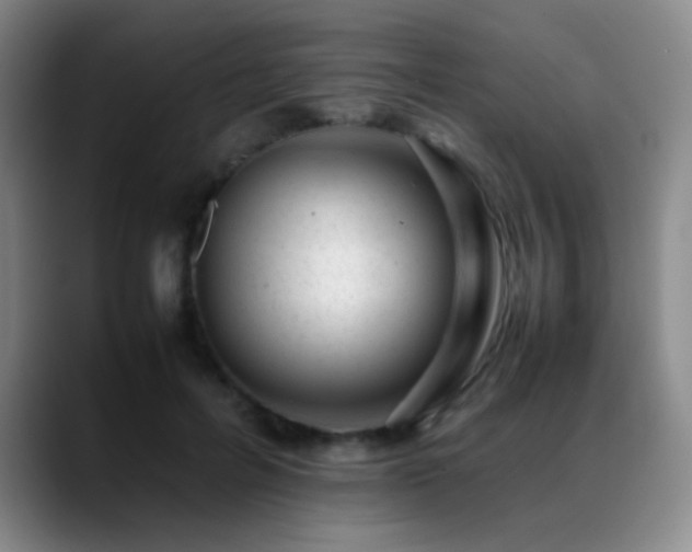 X0000089450600200706151433