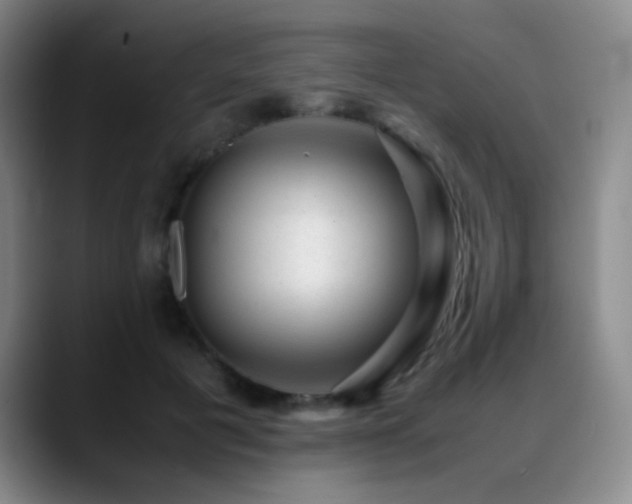 X0000089450601200706151433