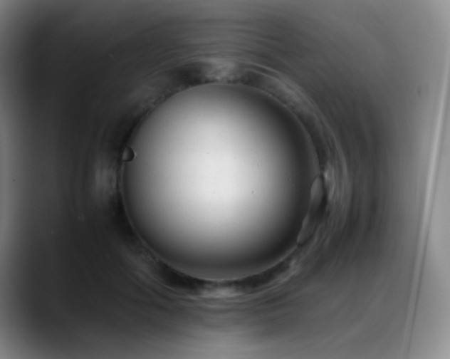 X0000089450602200706151433