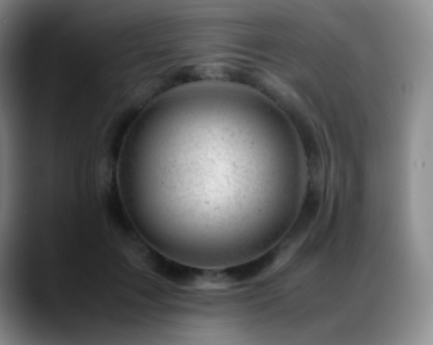 X0000089450603200706151433
