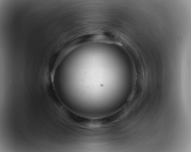 X0000089450604200706151433