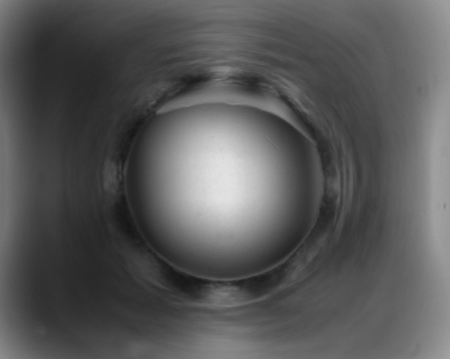 X0000089450605200706151433