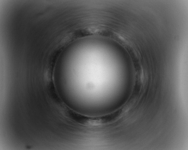 X0000089450606200706151433