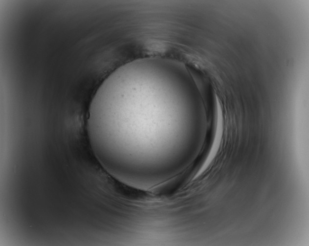 X0000089450608200706151433