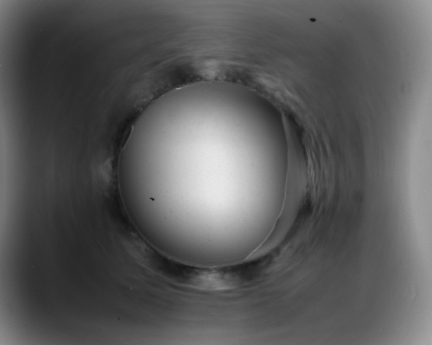 X0000089450611200706151433