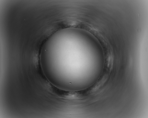 X0000089450612200706151433