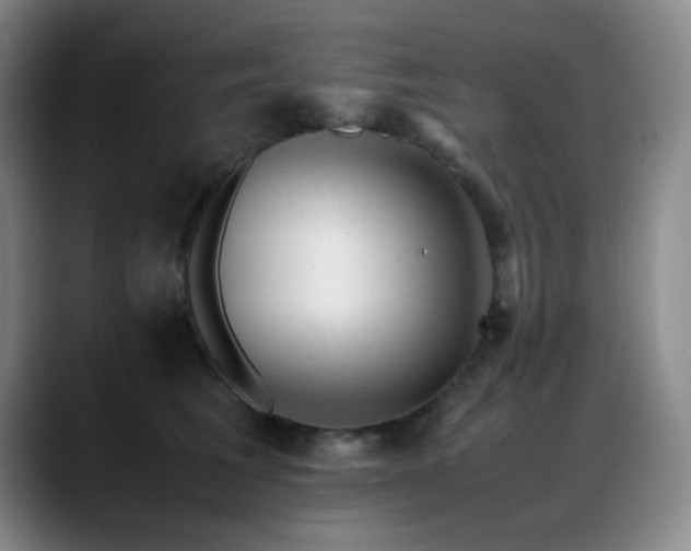 X0000089450613200706151433