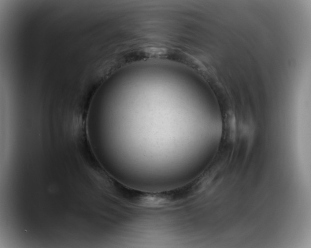 X0000089450614200706151433