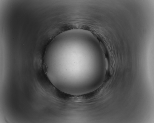 X0000089450615200706151433