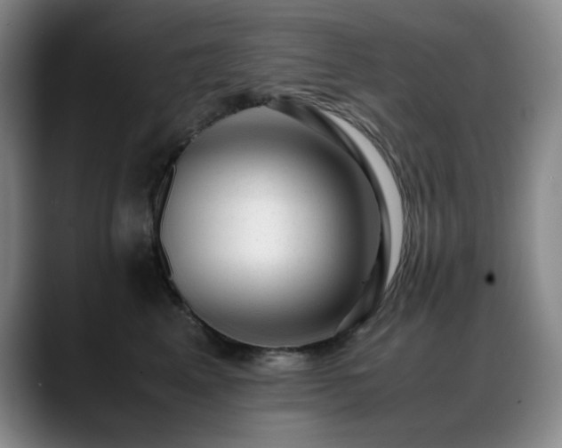 X0000089450617200706151433