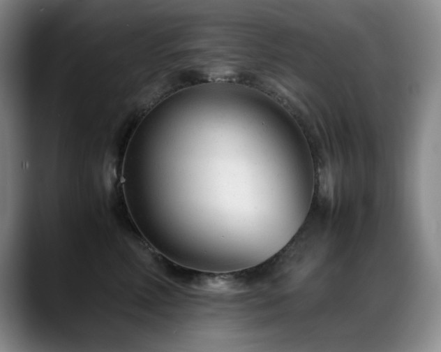 X0000089450618200706151433