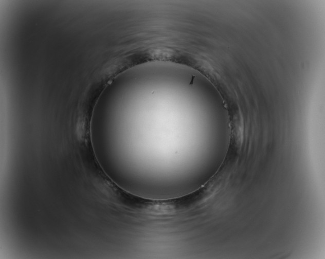 X0000089450619200706151433