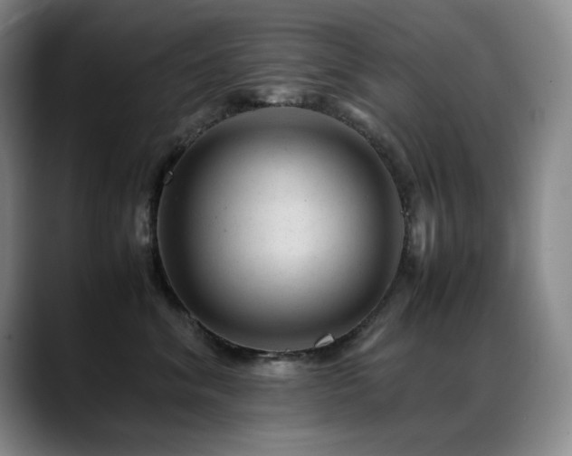 X0000089450620200706151433