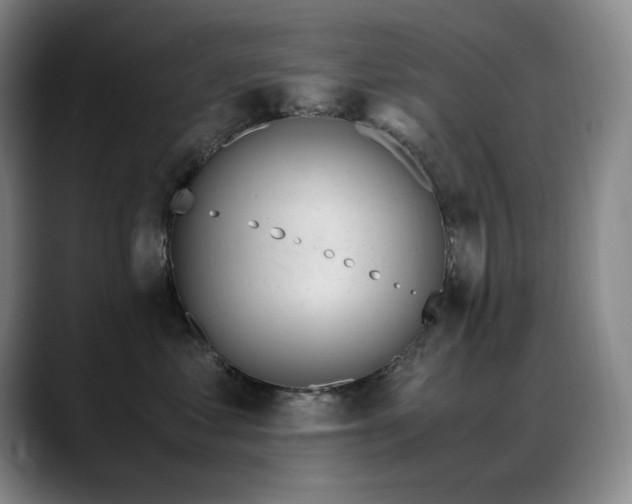 X0000089450621200706151433