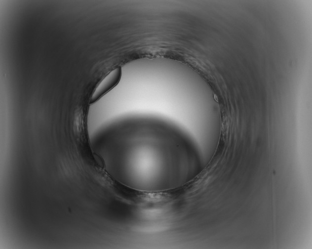 X0000089450623200706151433