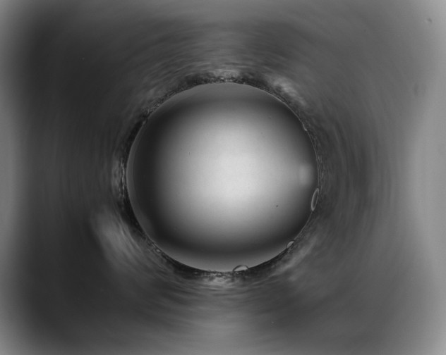X0000089450624200706151433