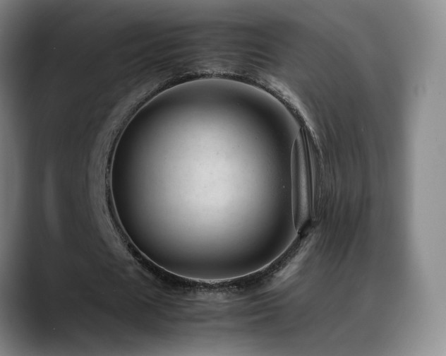 X0000089450625200706151432