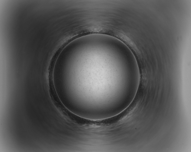 X0000089450626200706151432