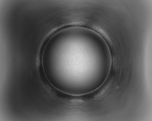 X0000089450628200706151432