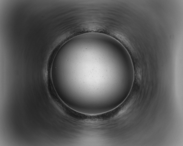 X0000089450630200706151432