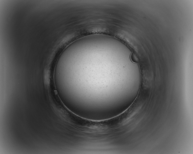 X0000089450631200706151432