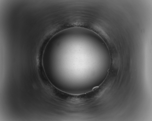 X0000089450635200706151432