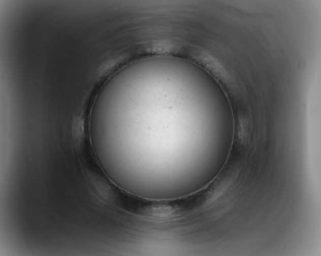 X0000089450636200706151432