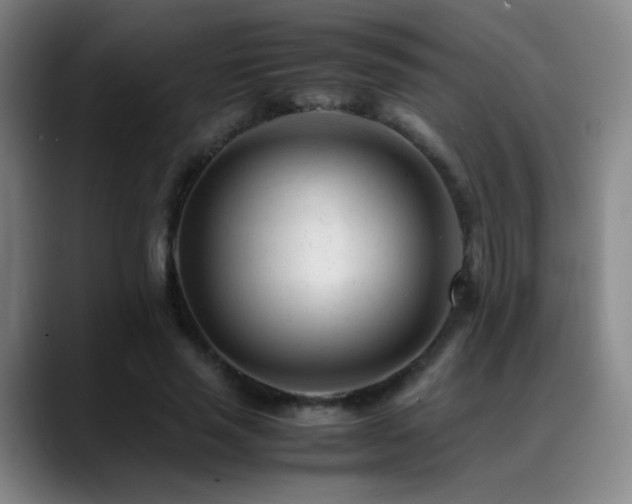 X0000089450637200706151432