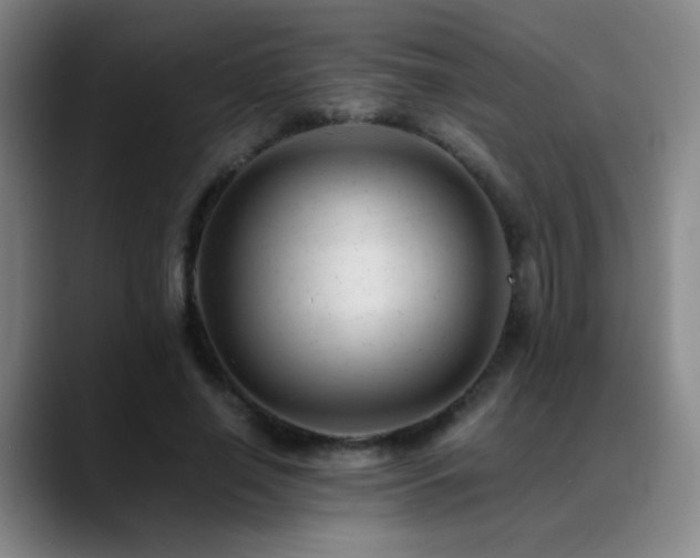 X0000089450638200706151432