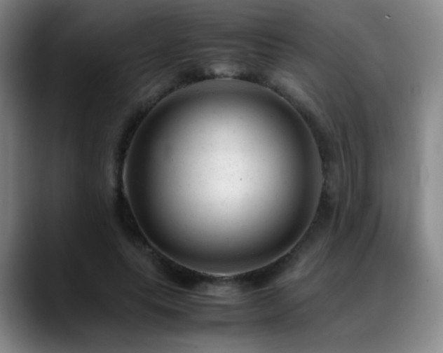 X0000089450639200706151432