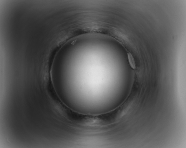 X0000089450642200706151432