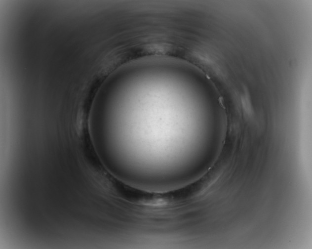 X0000089450647200706151432