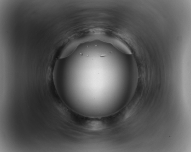 X0000089450649200706151432