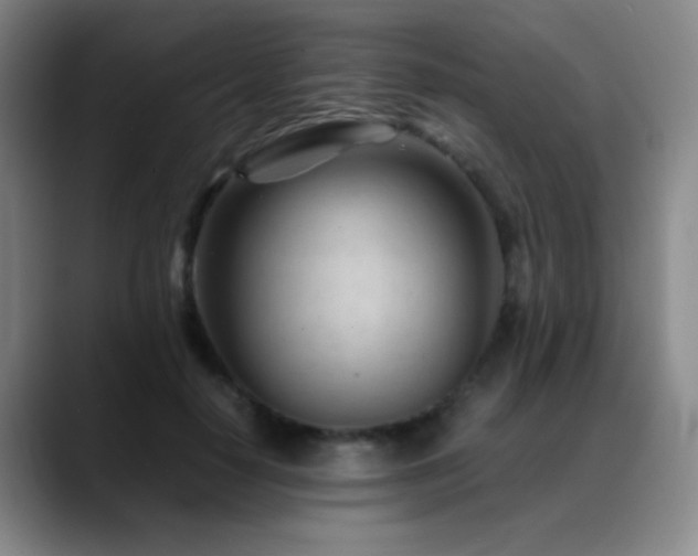 X0000089450650200706151432