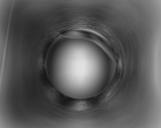 X0000089450651200706151432