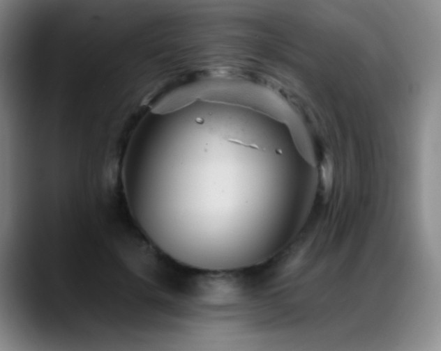 X0000089450652200706151432