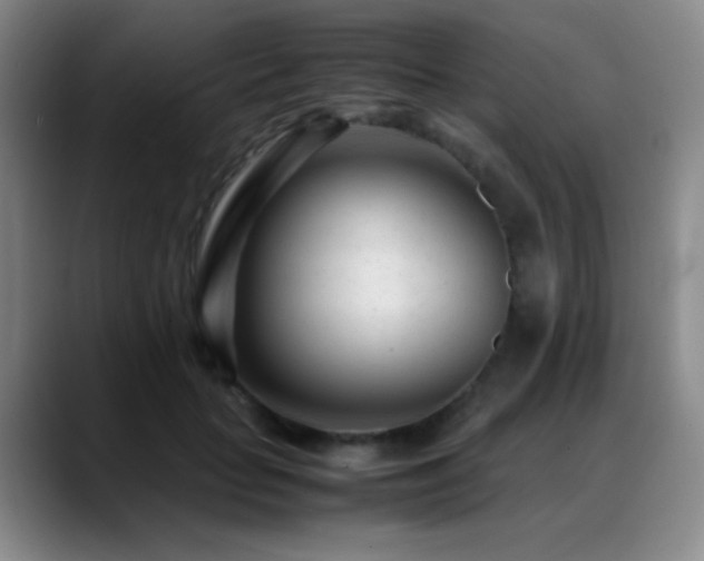 X0000089450653200706151432