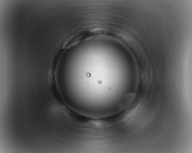 X0000089450654200706151432