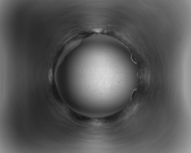 X0000089450656200706151432
