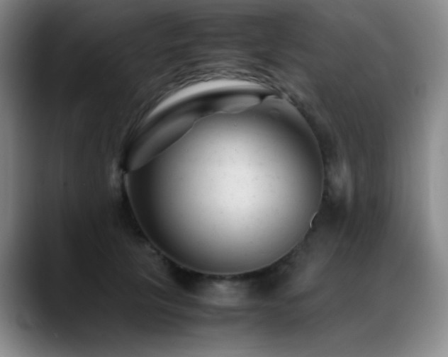 X0000089450657200706151432