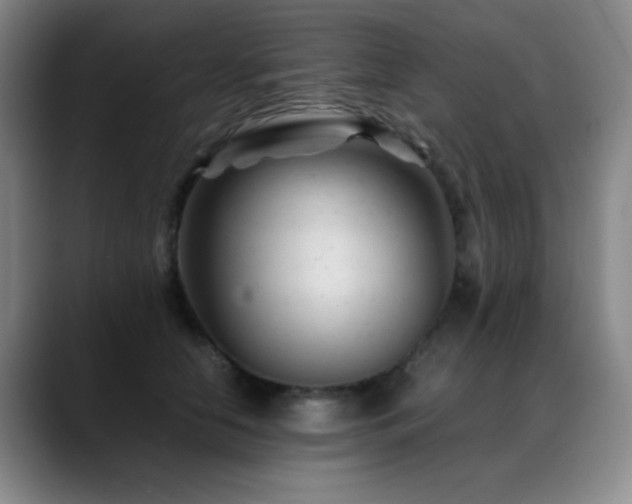 X0000089450658200706151432