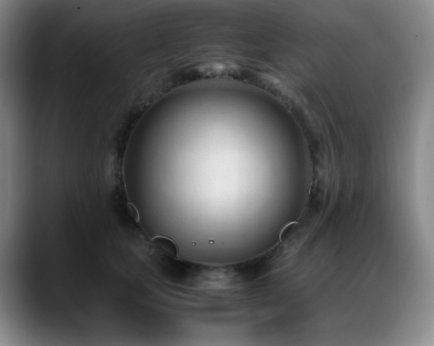 X0000089450659200706151432