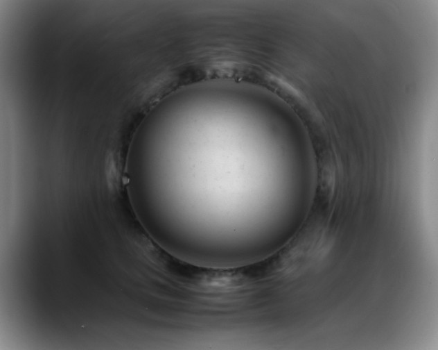 X0000089450661200706151432