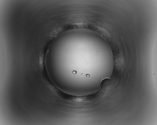 X0000089450662200706151432